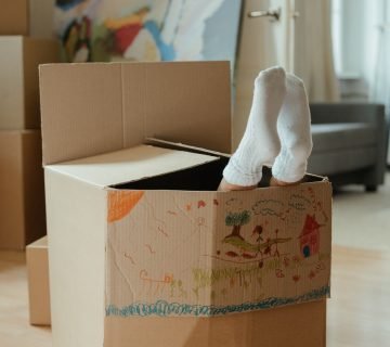 Verhuisdoos