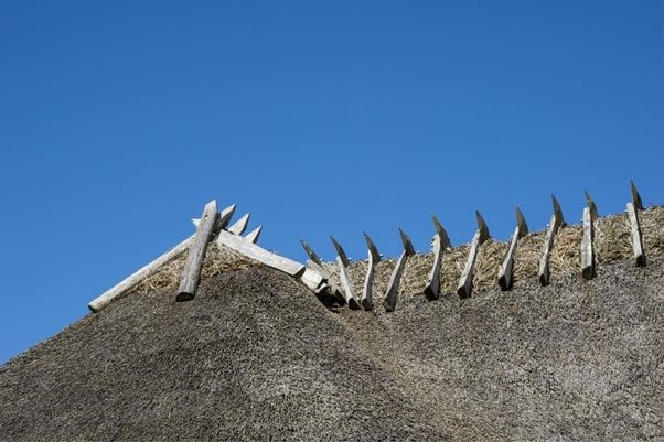 Het behoud van de esthetiek van een rieten dak